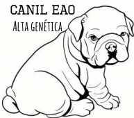 EAO Alta Genética Bulldogs